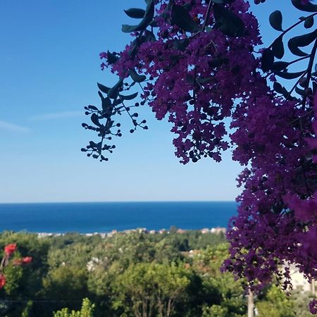 Vila Pogled Petrovazzo Esterno foto