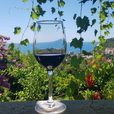 Vila Pogled Petrovazzo Esterno foto