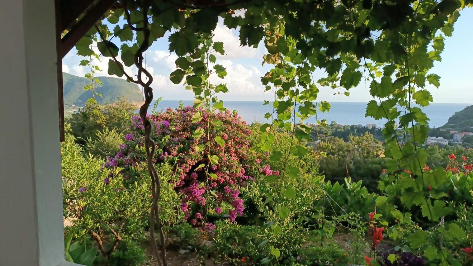 Vila Pogled Petrovazzo Esterno foto