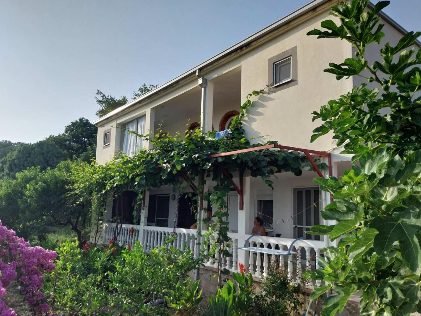 Vila Pogled Petrovazzo Esterno foto