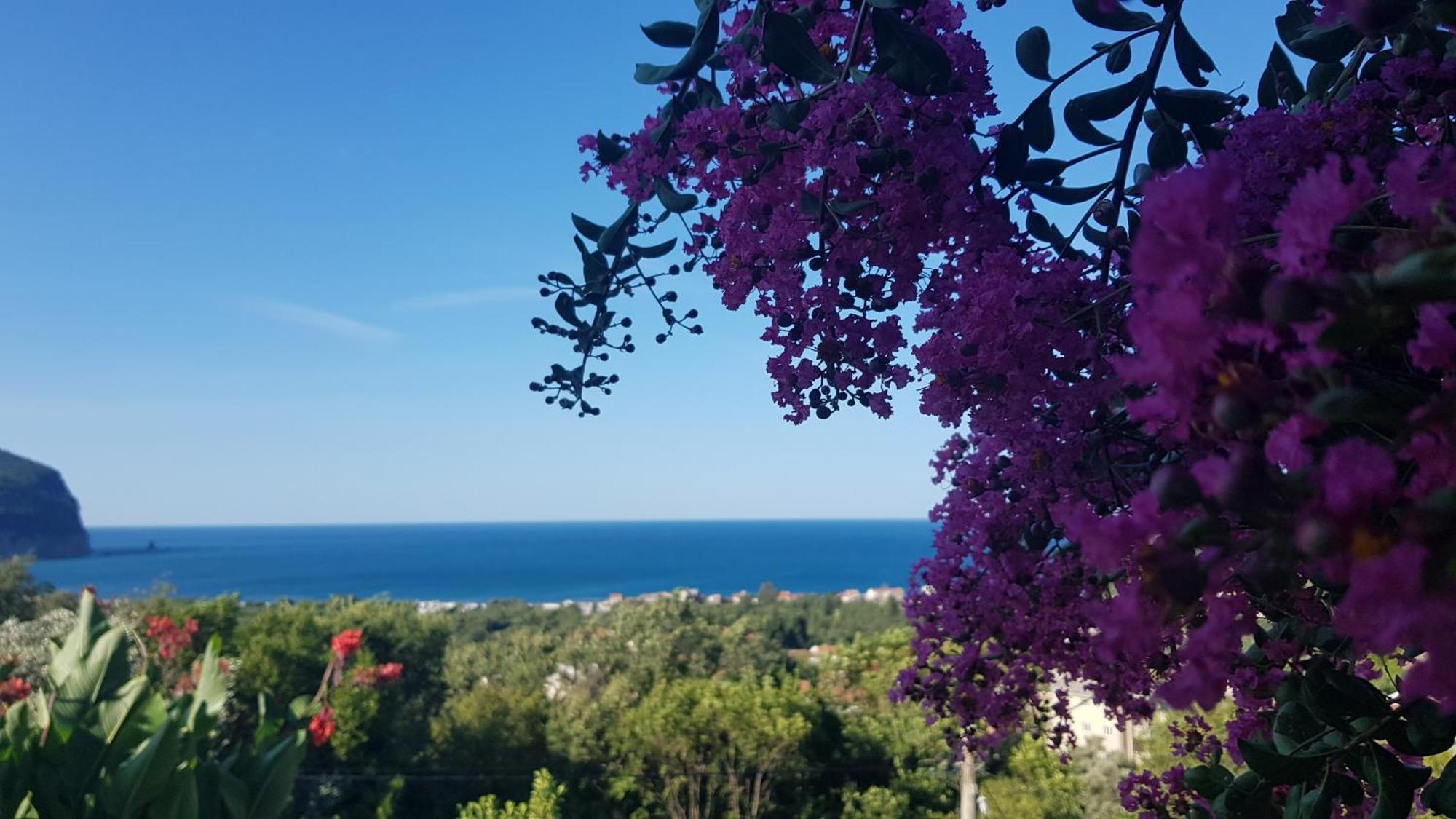 Vila Pogled Petrovazzo Esterno foto