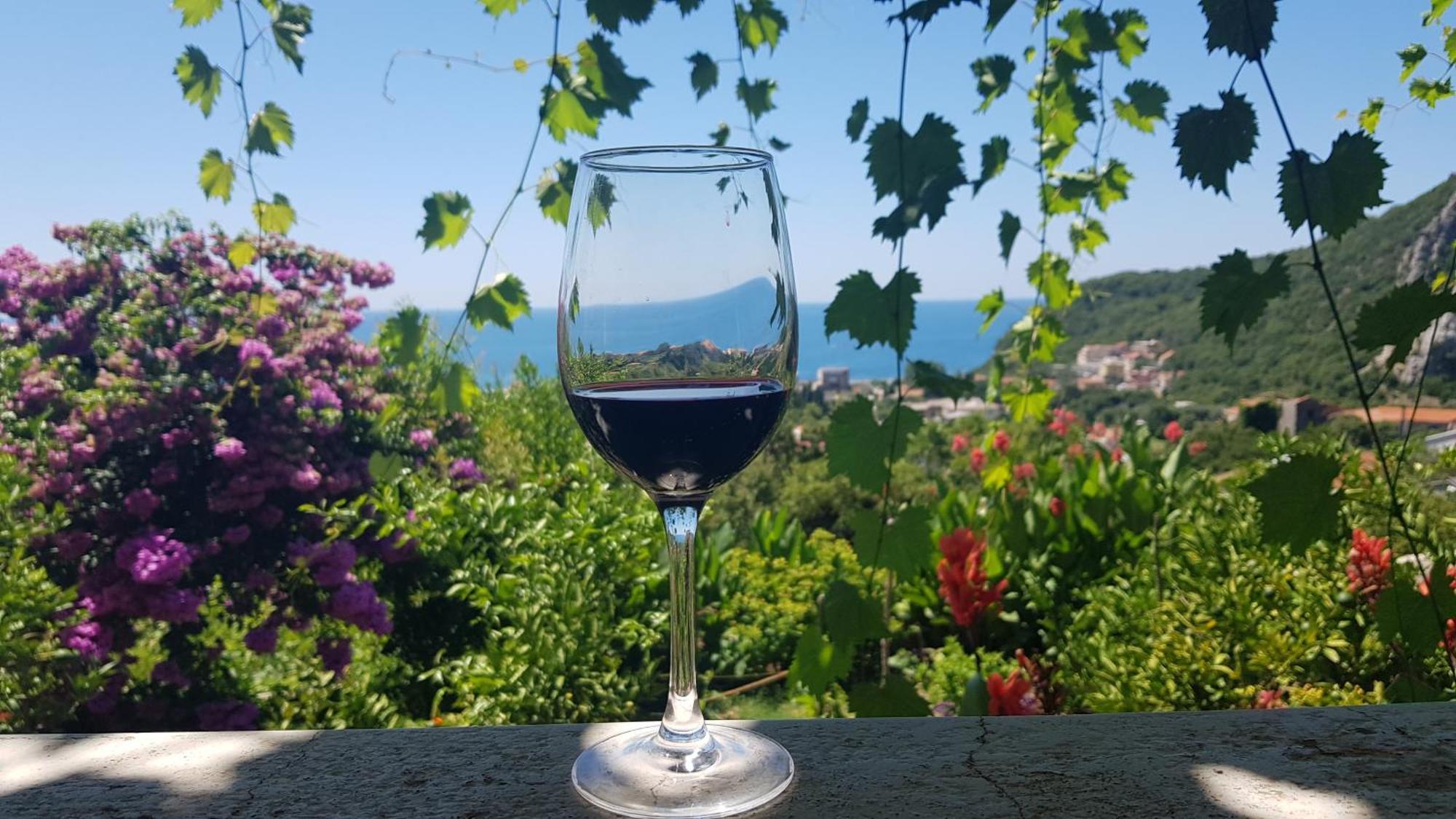 Vila Pogled Petrovazzo Esterno foto